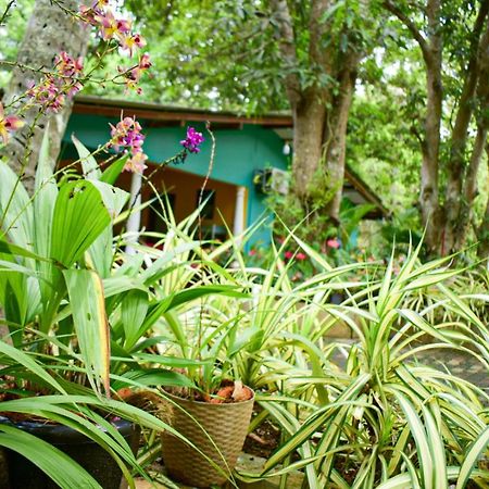 Palitha Homestay Sigiriya Dış mekan fotoğraf