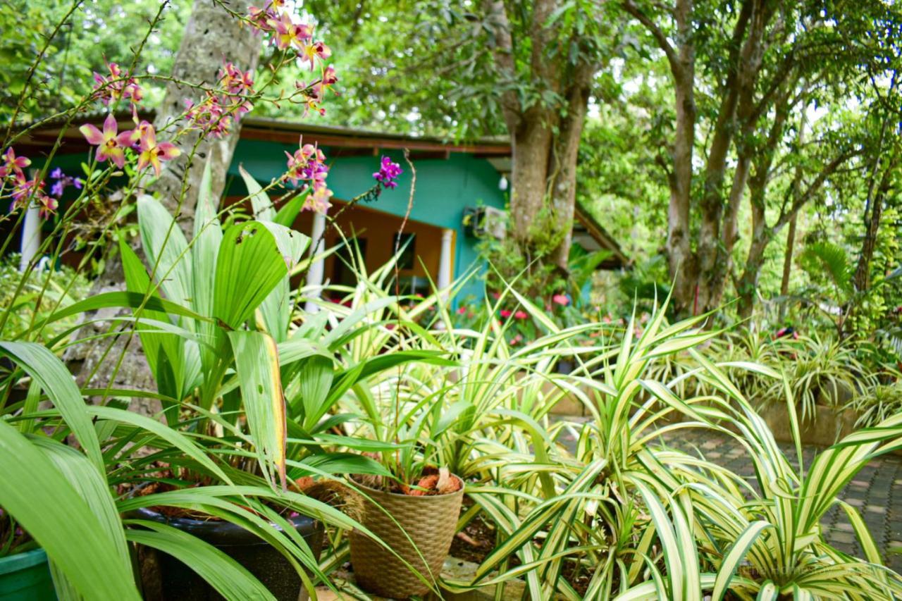 Palitha Homestay Sigiriya Dış mekan fotoğraf