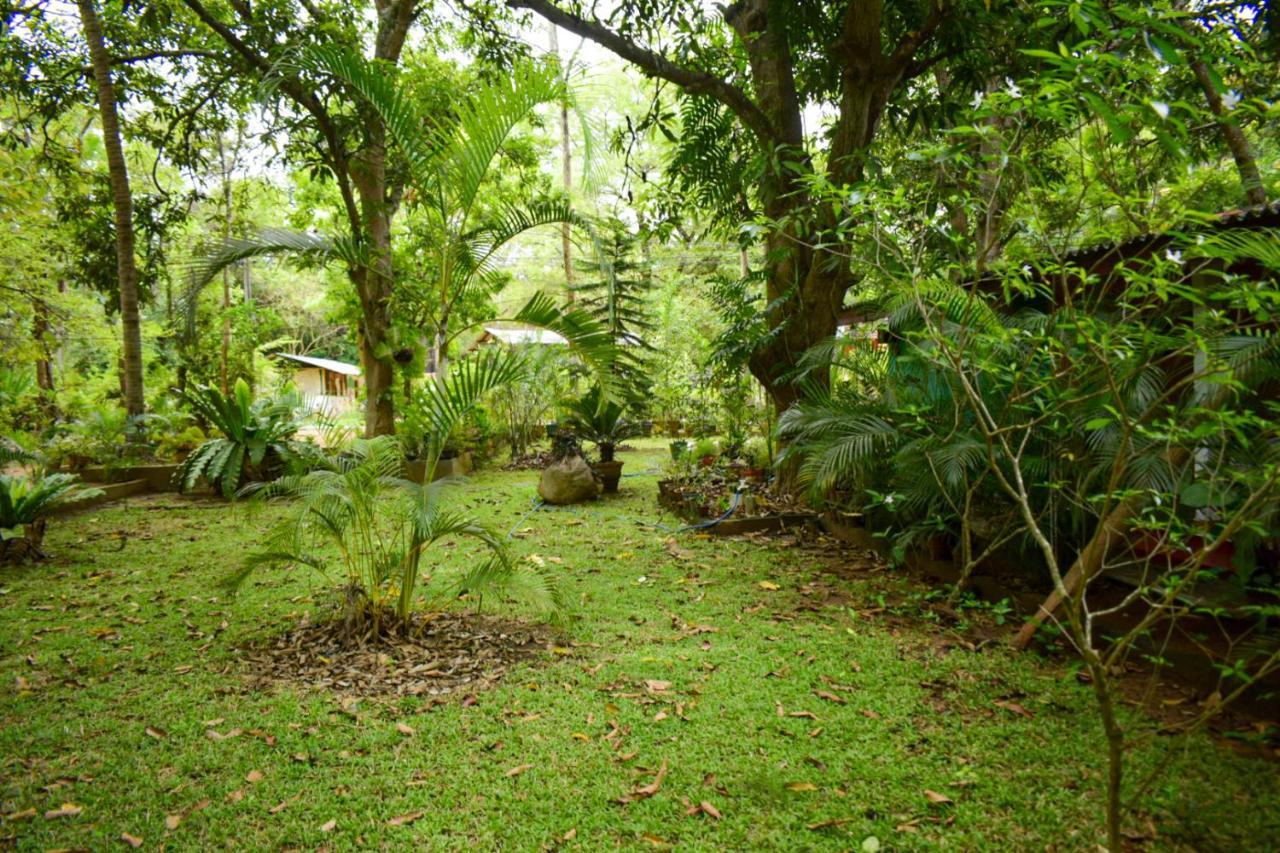 Palitha Homestay Sigiriya Dış mekan fotoğraf