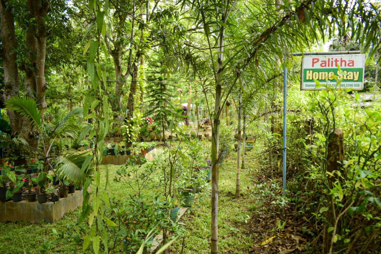 Palitha Homestay Sigiriya Dış mekan fotoğraf