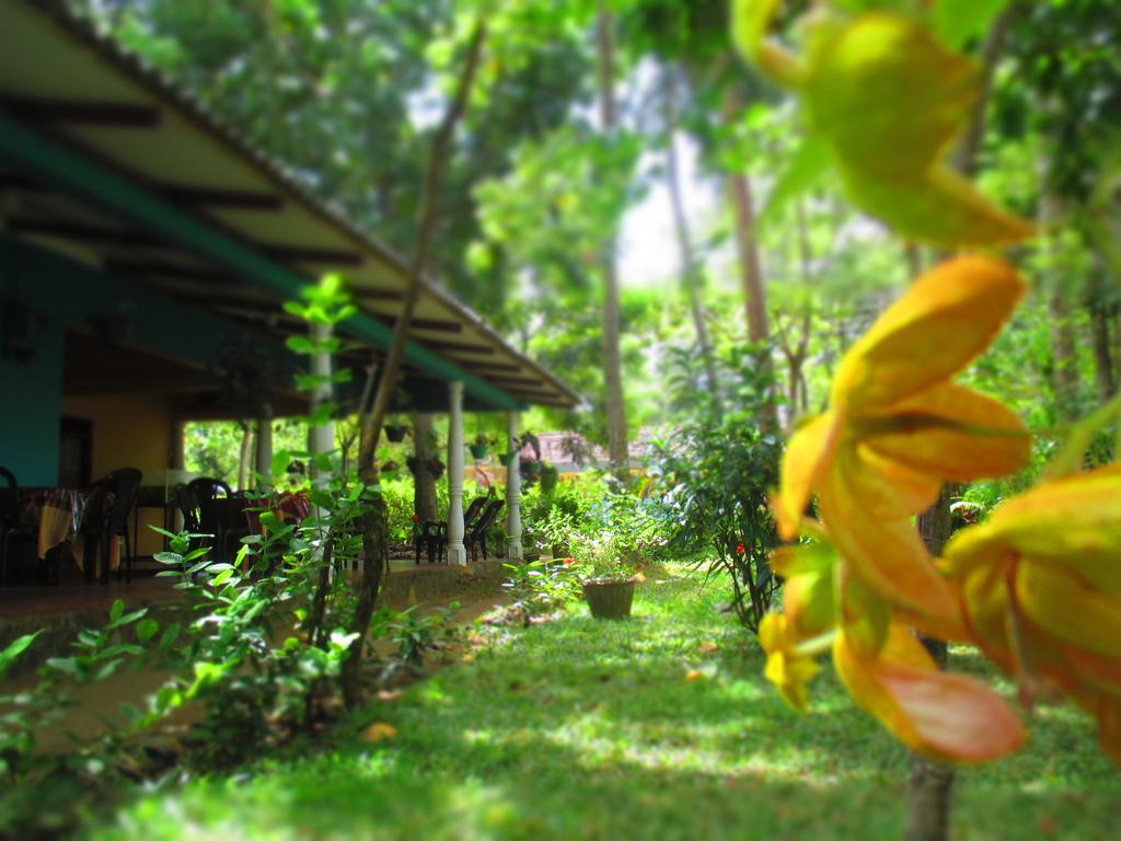 Palitha Homestay Sigiriya Dış mekan fotoğraf