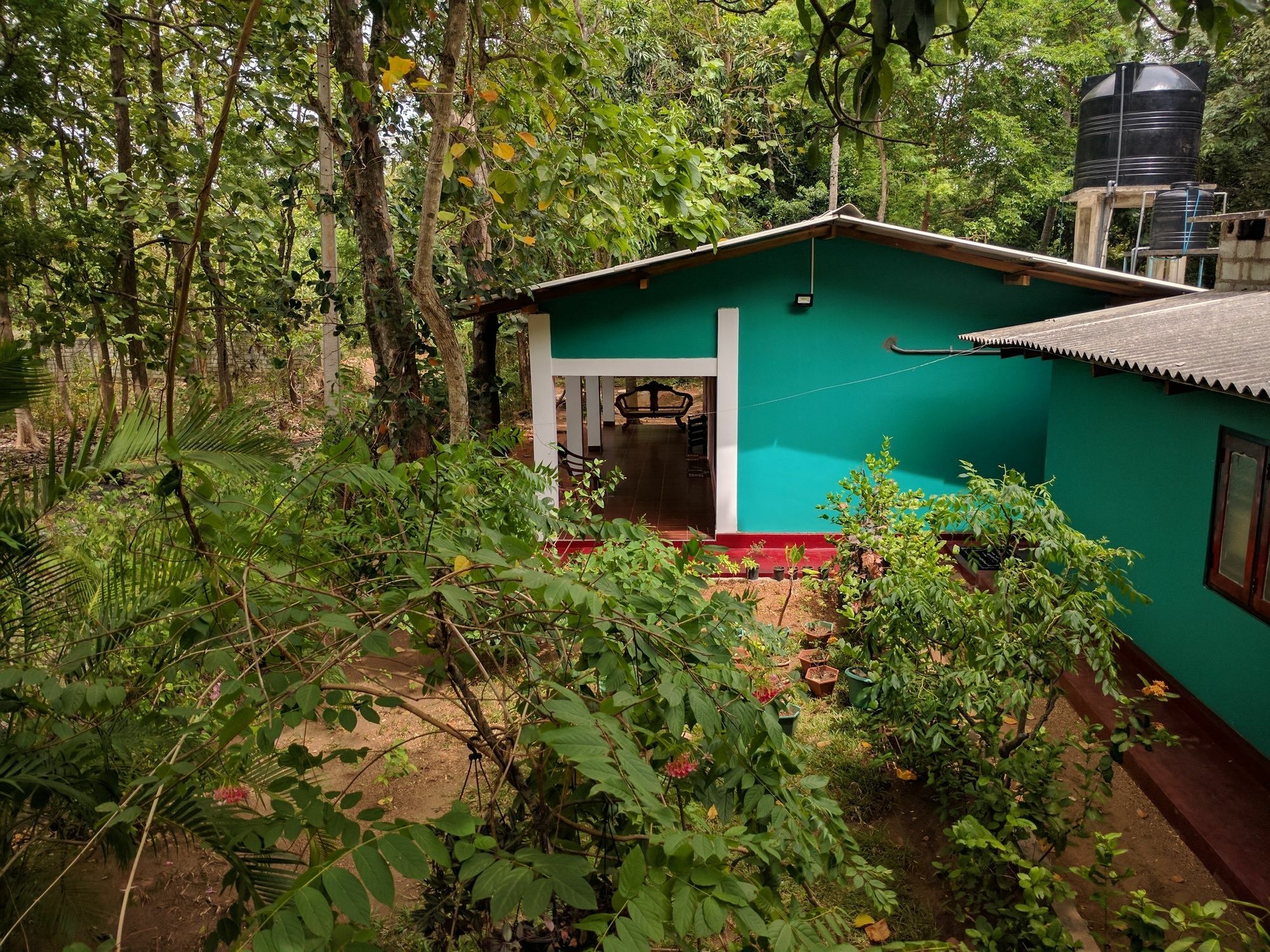 Palitha Homestay Sigiriya Dış mekan fotoğraf