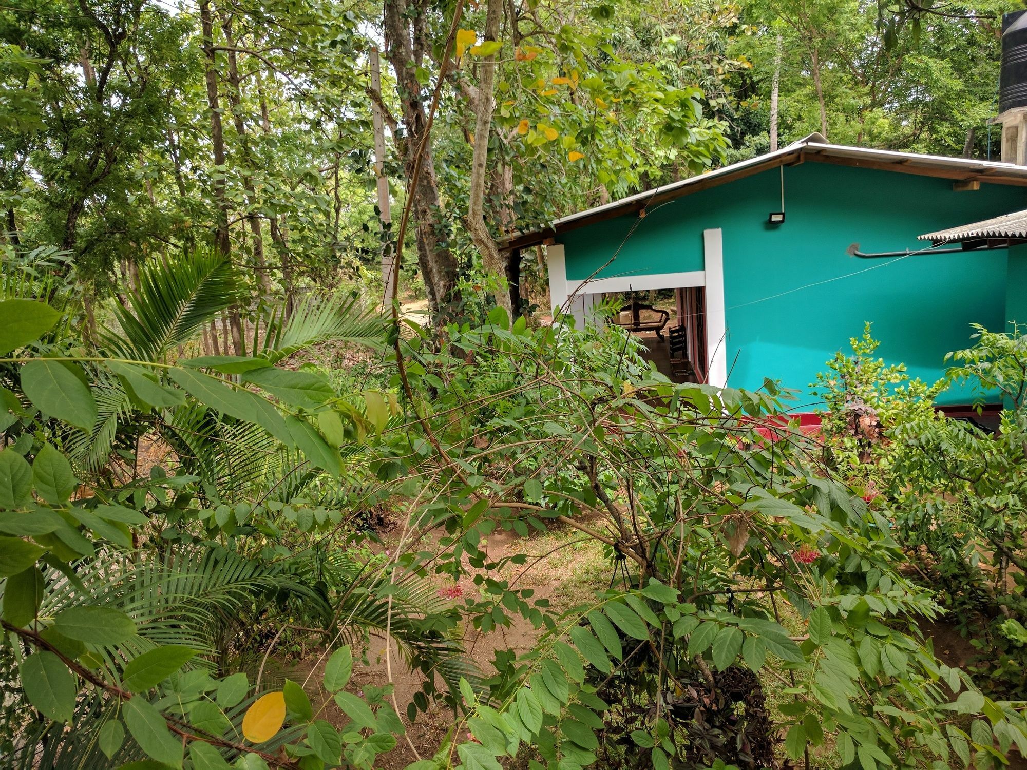 Palitha Homestay Sigiriya Dış mekan fotoğraf